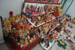DSC08705
