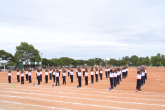 VJ5_4509